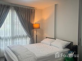 คอนโด 1 ห้องนอน ให้เช่า ในโครงการ ดีเวียง สันติธรรม, ช้างเผือก