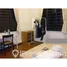 2 Schlafzimmer Appartement zu vermieten im Lloyd Road, Oxley, River valley, Central Region, Singapur