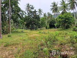 ขายที่ดิน ใน ขนอม, นครศรีธรรมราช, ขนอม, ขนอม, นครศรีธรรมราช