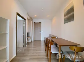 1 Bedroom Apartment for rent at Whizdom Essence, Bang Chak