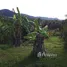  Grundstück zu verkaufen in Pa Khlok, Phuket, Pa Khlok, Thalang
