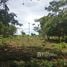  Land for sale in Costa Rica, San Carlos, Alajuela, Costa Rica