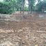  Land for sale in Chiang Mai, Nam Phrae, Hang Dong, Chiang Mai