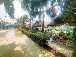 2 Habitación Tienda en venta en Phayao, Phu Sang, Phu Sang, Phayao