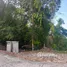 ขายที่ดิน ใน ตลิ่งงาม, สุราษฎร์ธานี, ตลิ่งงาม