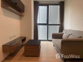 คอนโด 1 ห้องนอน ให้เช่า ในโครงการ ทากะ เฮาส์, คลองตันเหนือ, วัฒนา, กรุงเทพมหานคร