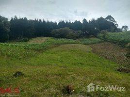  Terreno (Parcela) en venta en Antioquia, Guarne, Antioquia