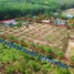  Земельный участок for sale in Bang But, Районг, Bang But