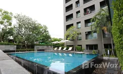 Photo 3 of the Communal Pool at The Seed Musee