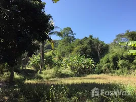  Land for sale in Thailand, Thuem Tong, Mueang Nan, Nan, Thailand