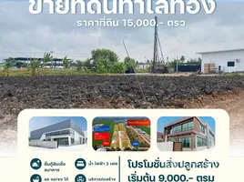 ขายที่ดิน ในโครงการ หมู่บ้านปิ่นทองแลนด์ แฟคทอรี่, ละหาร