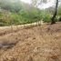  Terrain for sale in Roatan, Bay Islands, Roatan