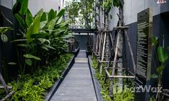 图片 3 of the Communal Garden Area at Vtara Sukhumvit 36