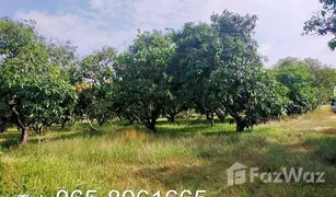 N/A Land for sale in Khok Sa-At, Saraburi 