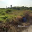  Terrain for sale in Rayong, Taphong, Mueang Rayong, Rayong