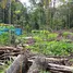  Terrain for sale in Amazonas, Rio Preto Da Eva, Amazonas