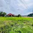  Land for sale in Phuket, Si Sunthon, Thalang, Phuket