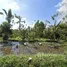  Terreno (Parcela) en venta en Tegallalang, Bali, Tegallalang, Gianyar