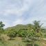  Land for sale in Pran Buri, Prachuap Khiri Khan, Pak Nam Pran, Pran Buri