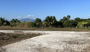 N/A Land for sale in San Klang, Chiang Mai 