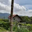  Terreno (Parcela) en venta en Tuba, Cordillera, Tuba, Benguet, Cordillera