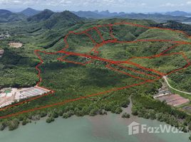  Land for sale in Thailand, Lo Yung, Takua Thung, Phangnga, Thailand