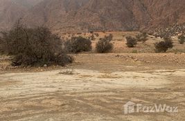 Buy bedroom Land with Bitcoin at in Souss Massa Draa, Morocco