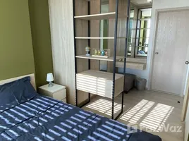 คอนโด 1 ห้องนอน ให้เช่า ในโครงการ นิว โนเบิล ศรีนครินทร์ – ลาซาล, สำโรงเหนือ, เมืองสมุทรปราการ