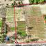  Land for sale in Mai Khao, Phuket, Mai Khao, Thalang, Phuket