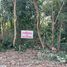  Земельный участок for sale in Phu Kradueng, Loei, Phu Kradueng