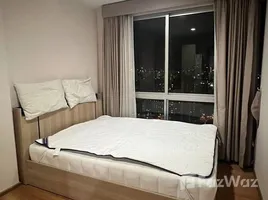 อพาร์ทเม้นท์ 1 ห้องนอน ให้เช่า ในโครงการ เดอะ เบส สุขุมวิท 77, พระโขนงเหนือ