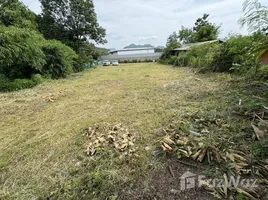 ขายที่ดิน ใน เหมืองจี้, ลำพูน, เหมืองจี้, เมืองลำพูน, ลำพูน, ไทย