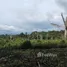  Terrain for sale in Rio Preto Da Eva, Amazonas, Rio Preto Da Eva