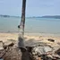  Land for sale in Lipa Noi, Surat Thani, Lipa Noi, Koh Samui, Surat Thani, Thailand