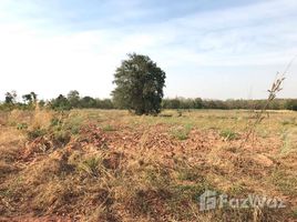 北碧 Nong Tak Ya 11 Rai Land For Sale in Tha Muang, Kanchanaburi N/A 土地 售 
