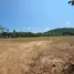 ขายที่ดิน ใน ป่าคลอก, ภูเก็ต, ป่าคลอก, ถลาง, ภูเก็ต