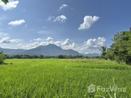 ขายที่ดิน ใน ออนกลาง, เชียงใหม่, ออนกลาง, แม่ออน