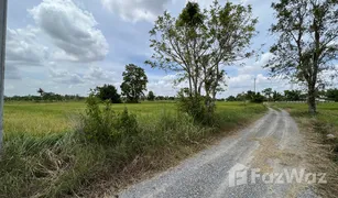 N/A Grundstück zu verkaufen in Si Mum, Nakhon Ratchasima 