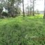  Land for sale in Heredia, San Pablo, Heredia