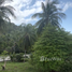  Grundstück zu verkaufen in Ko Pha-Ngan, Surat Thani, Ko Pha-Ngan, Ko Pha-Ngan