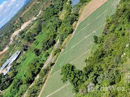  Terreno (Parcela) en venta en Honduras, Sinuapa, Ocotepeque, Honduras