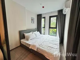 คอนโด 1 ห้องนอน ให้เช่า ในโครงการ แอสปาย รัชโยธิน, ลาดยาว