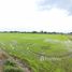  Land for sale in Saraburi, Nong Khaem, Nong Khae, Saraburi