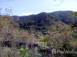 N/A Land for sale in , Jalisco NA CALLE PANTEOON, Sierra Madre Jalisco, JALISCO