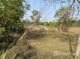  Terreno (Parcela) en venta en Buri Ram, Chum Het, Mueang Buri Ram, Buri Ram