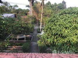 Studio Maison for sale in An Nhon Tay, Cu Chi, An Nhon Tay