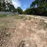  Land for sale in Suthep, Chiang Mai, Suthep