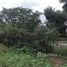 Land for sale in Takhu, Nakhon Ratchasima, Takhu, Pak Thong Chai, Nakhon Ratchasima