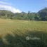 Terrain à vendre à Centro de Samara, Nicoya