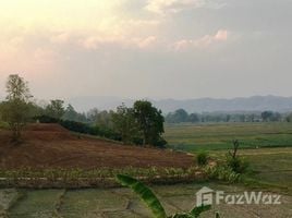ขายที่ดิน ใน แม่แตง เชียงใหม่, แม่แตง, แม่แตง, เชียงใหม่, ไทย